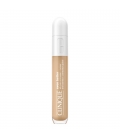 EVEN BETTER ALL OVER CONCEALER Anti-Cernes et Correcteur Global