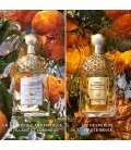 AQUA ALLEGORIA FORTE Mandarine Basilic - Eau de Parfum